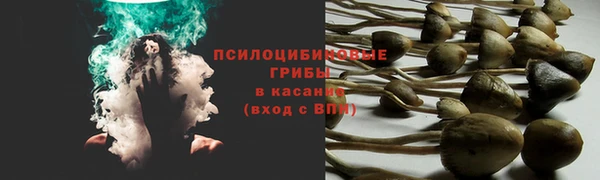 прущие крисы Нея