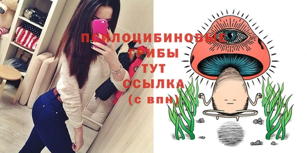 дживик Нефтегорск