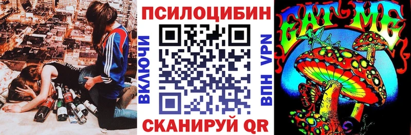 Купить Новокузнецк Псилоцибиновые грибы Psilocybine cubensis